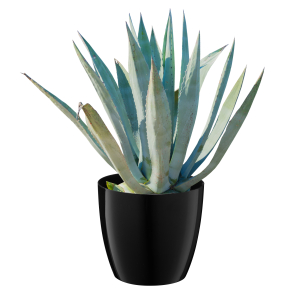 Doniczka Aga 14cm, czarna